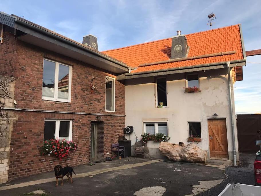 Ferienwohnung Felinenhof Weilerswist Exterior foto